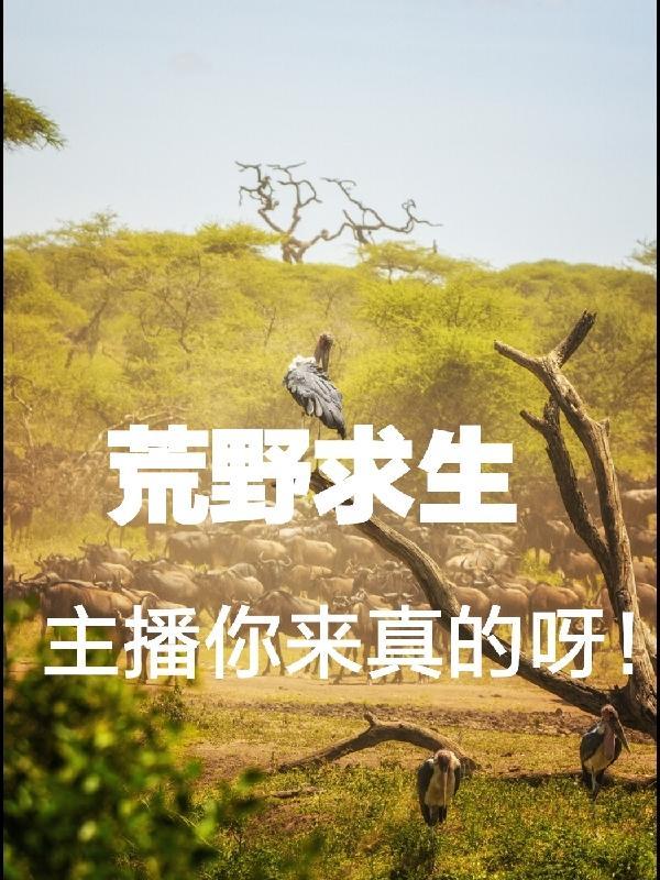 【水官解厄】月麟