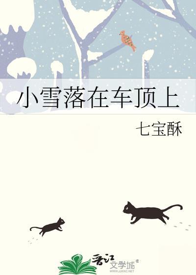 小贵妇摆烂日常