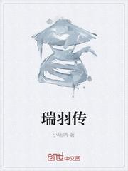 综穿之莲花游记封面