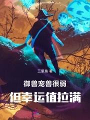经历派封面