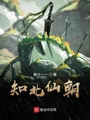 变身少女：我有游戏面板封面