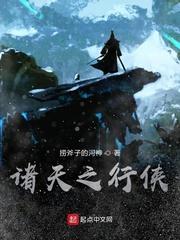 叶绾绾沈南舟封面