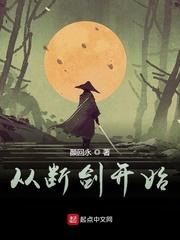 苏锦初顾明琛封面
