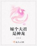金玉缘，钗头凤封面
