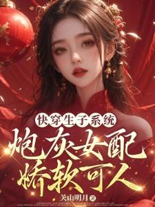 雪乱渐渐封面