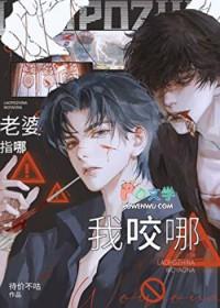 从脸接核弹开始无敌封面